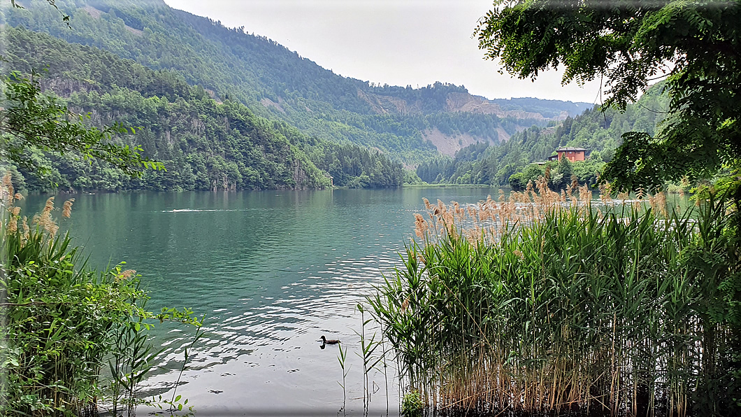 foto Lago di Lases